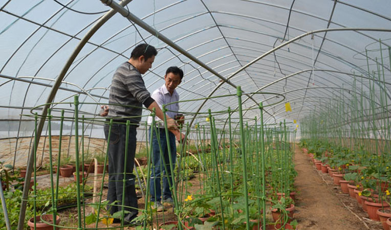 農(nóng)業(yè)專家劉運廣介紹農(nóng)業(yè)產(chǎn)品