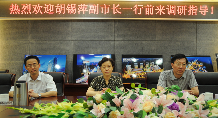 胡錫萍副市長認真聽取項義水董事長匯報
