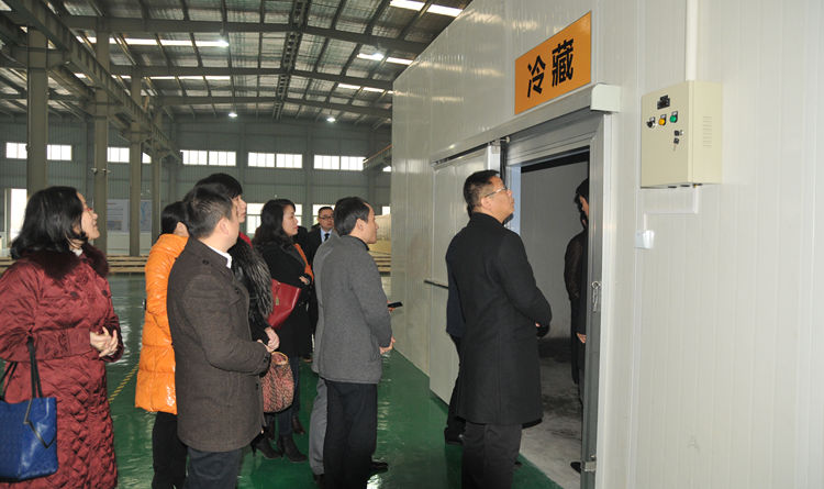 調(diào)研團(tuán)隊(duì)實(shí)地查看冷凍冷藏區(qū)域