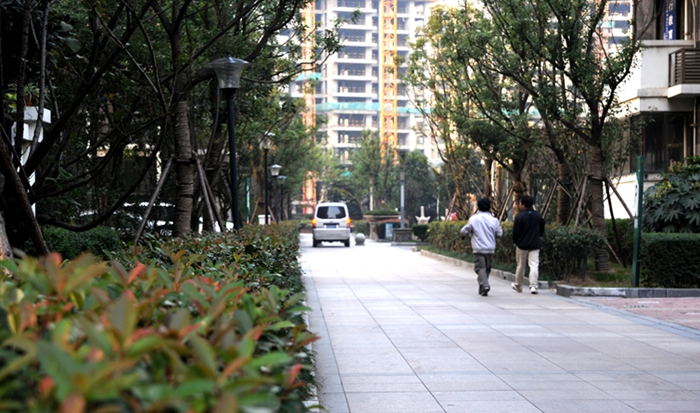 華亭陽光綠洲小區 華亭陽光綠洲小區