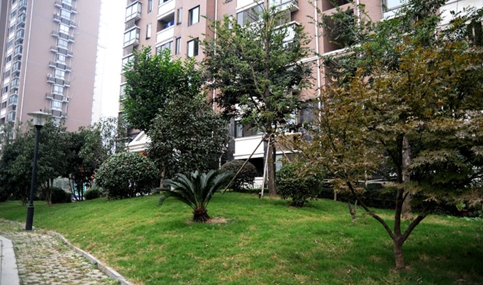 華亭陽光綠洲小區 華亭陽光綠洲小區